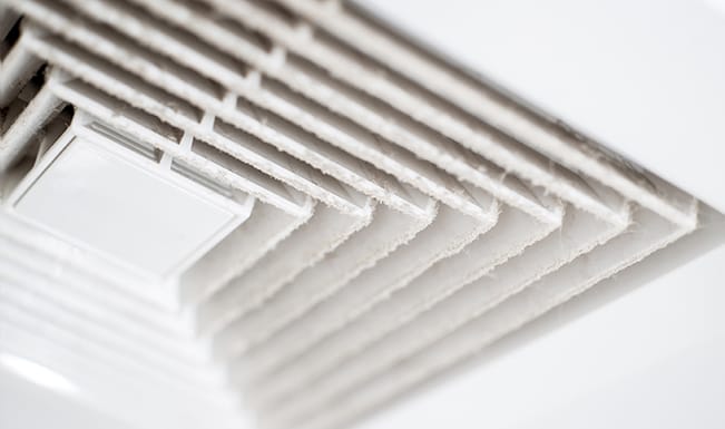 Steamatic Lanaudière photo 7